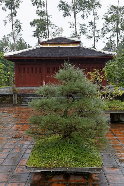 Hué-Pagode de la Dame Céleste-016